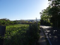 DSC03290