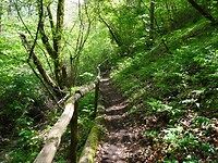 DSC03328