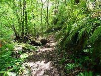 DSC03327