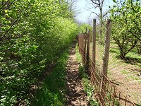 DSC03321