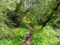 DSC03324