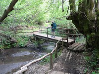 DSC03331
