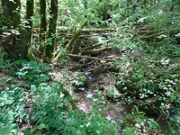 DSC03325