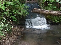 DSC03332