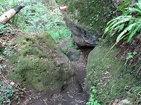 DSC03330