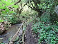 DSC03329