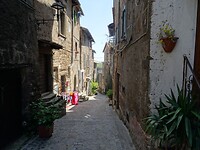 DSC03317