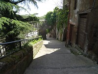 DSC03319