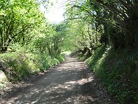 DSC03304