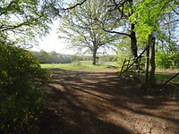 DSC03294