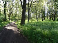 DSC03293