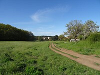 DSC03295