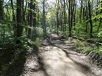 DSC03296