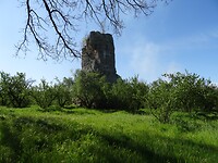 DSC03301