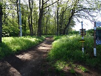 DSC03292