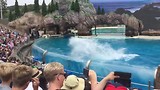 Ga nooit op de eerste tien rijen zitten bij de orkashow