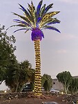 Feest bij de buren