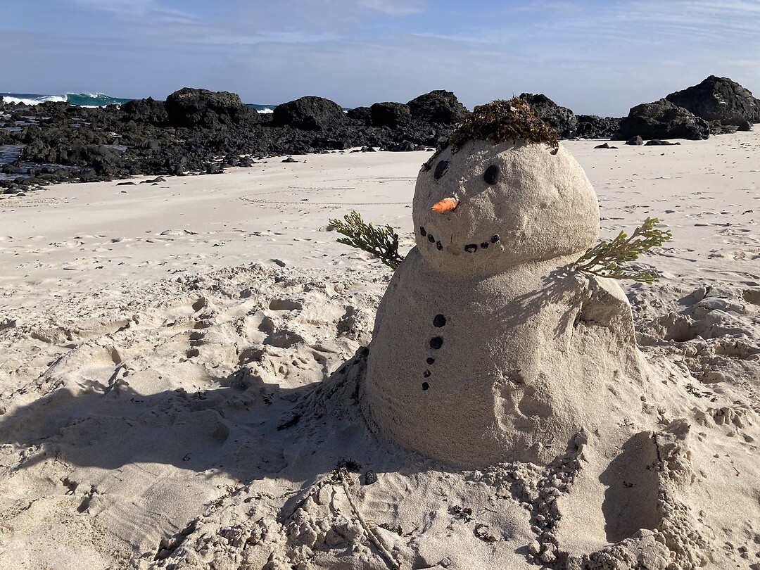 Canarische sneeuwpop