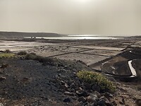 IMG_4570