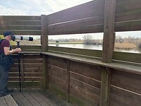 vogelkijkhut Rascletons