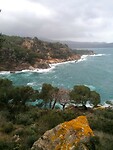 de baai van Rostella