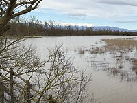 met besneeuwde Pyreneeën