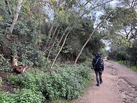 strandroute