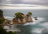 Punta d'en Sureda