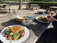 gezonde salade