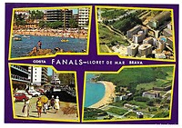 Fenals in de seventies