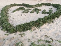 Paracas