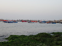 Paracas