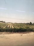 Onderweg van Paracas naar Ica