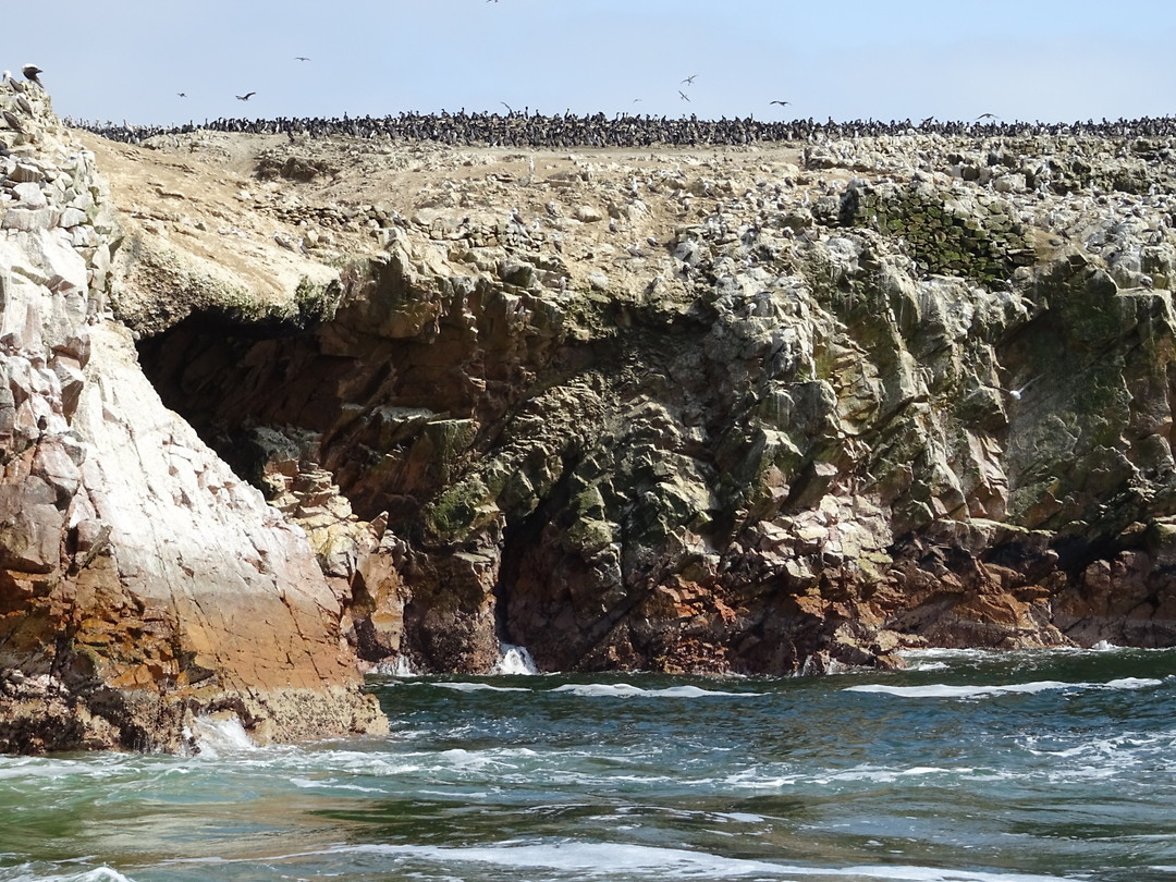 Ballestas