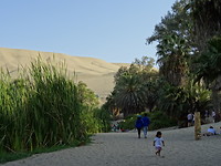 Laguna