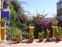 Dakterras van ons hotel