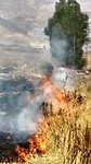 Geestesverschijning van Bert in de rook