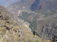 Colca canyon
