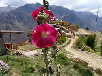 Colca canyon