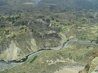 Colca canyon