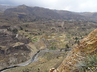 Colca canyon