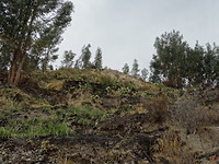Colca canyon