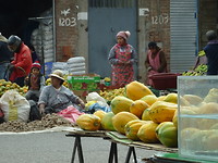 Bij puno
