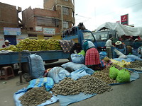 Bij puno