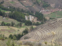 Terrassen Inca ruine Pisac