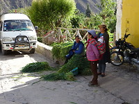 Locale markt ollantaytambo