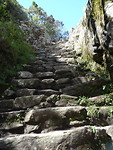 Pad van de inca trail