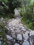 Pad inca trail