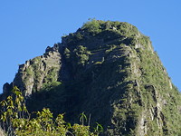 De Wayne picchu