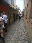 Golden lane